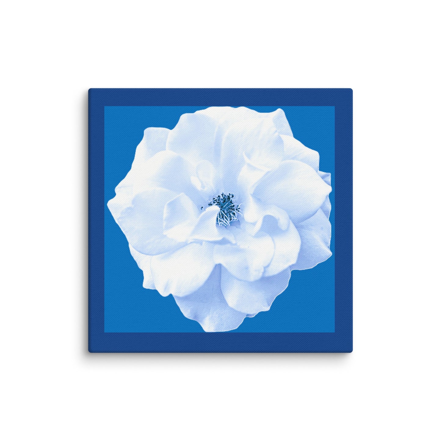 Wall Art Canvas Bianca