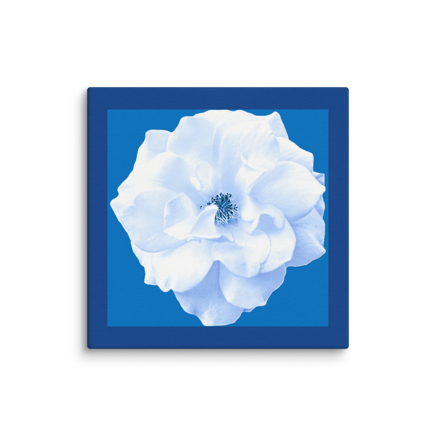 Wall Art Canvas Bianca