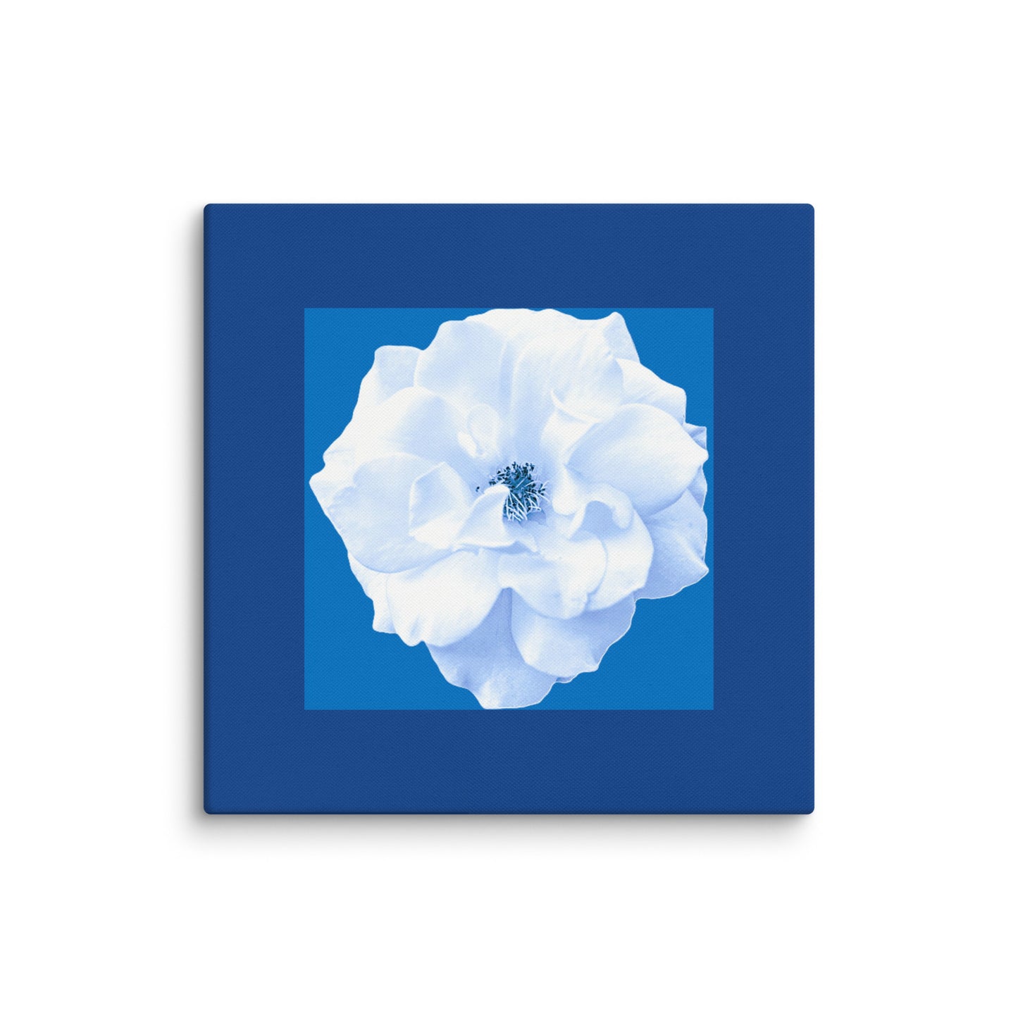 Wall Art Canvas Bianca