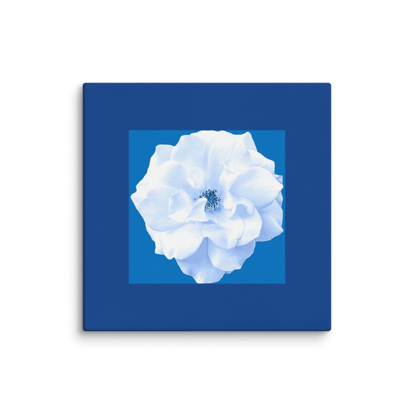 Wall Art Canvas Bianca