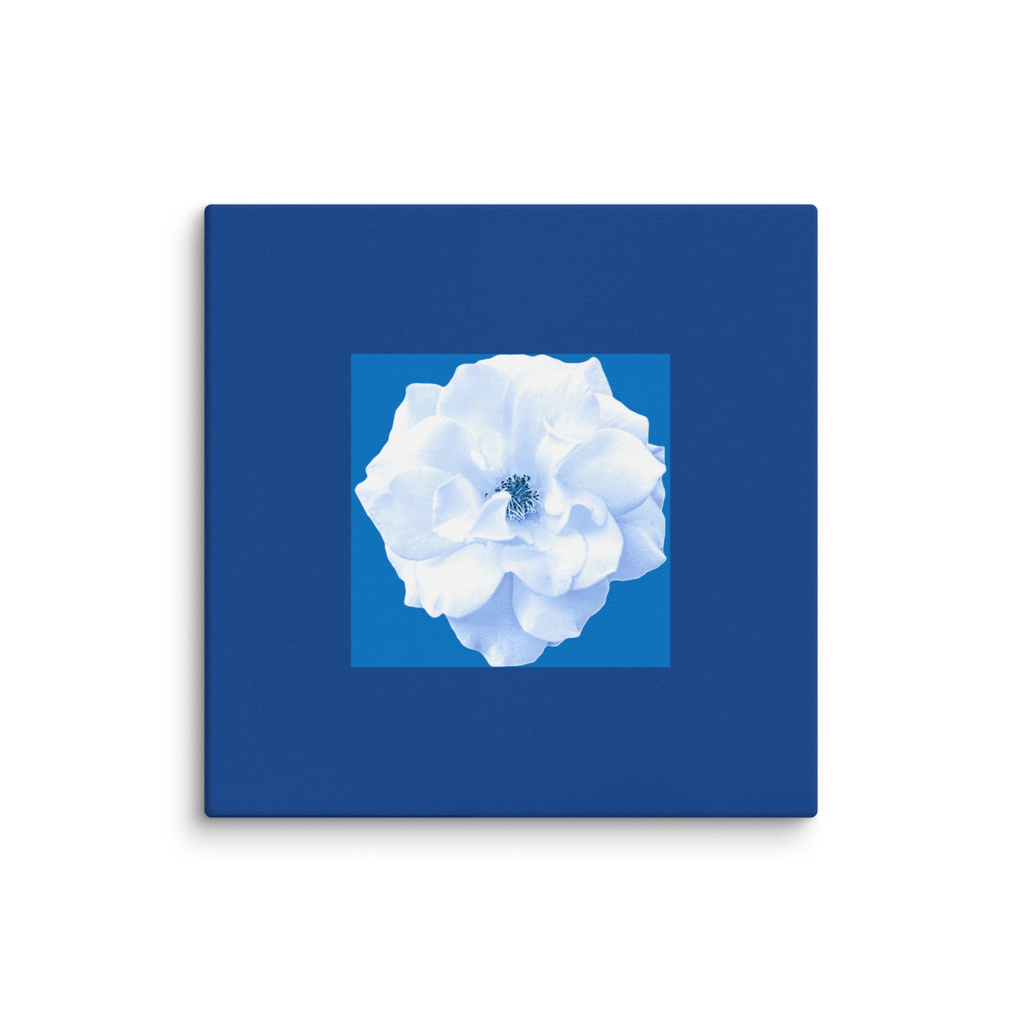 Wall Art Canvas Bianca